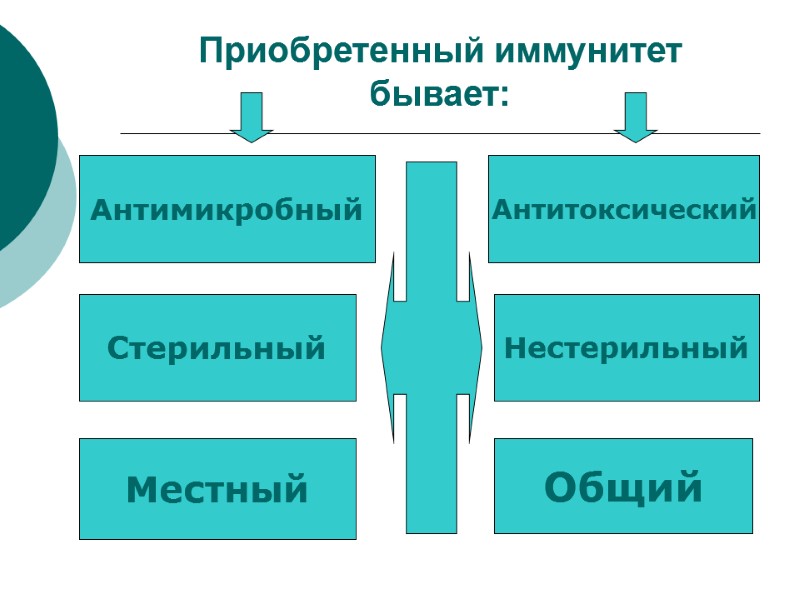 Приобретенный иммунитет бывает: Антимикробный Антитоксический Стерильный Нестерильный Местный Общий